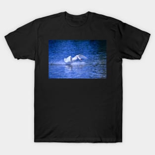 Swan 4 / Swiss Artwork Photography T-Shirt